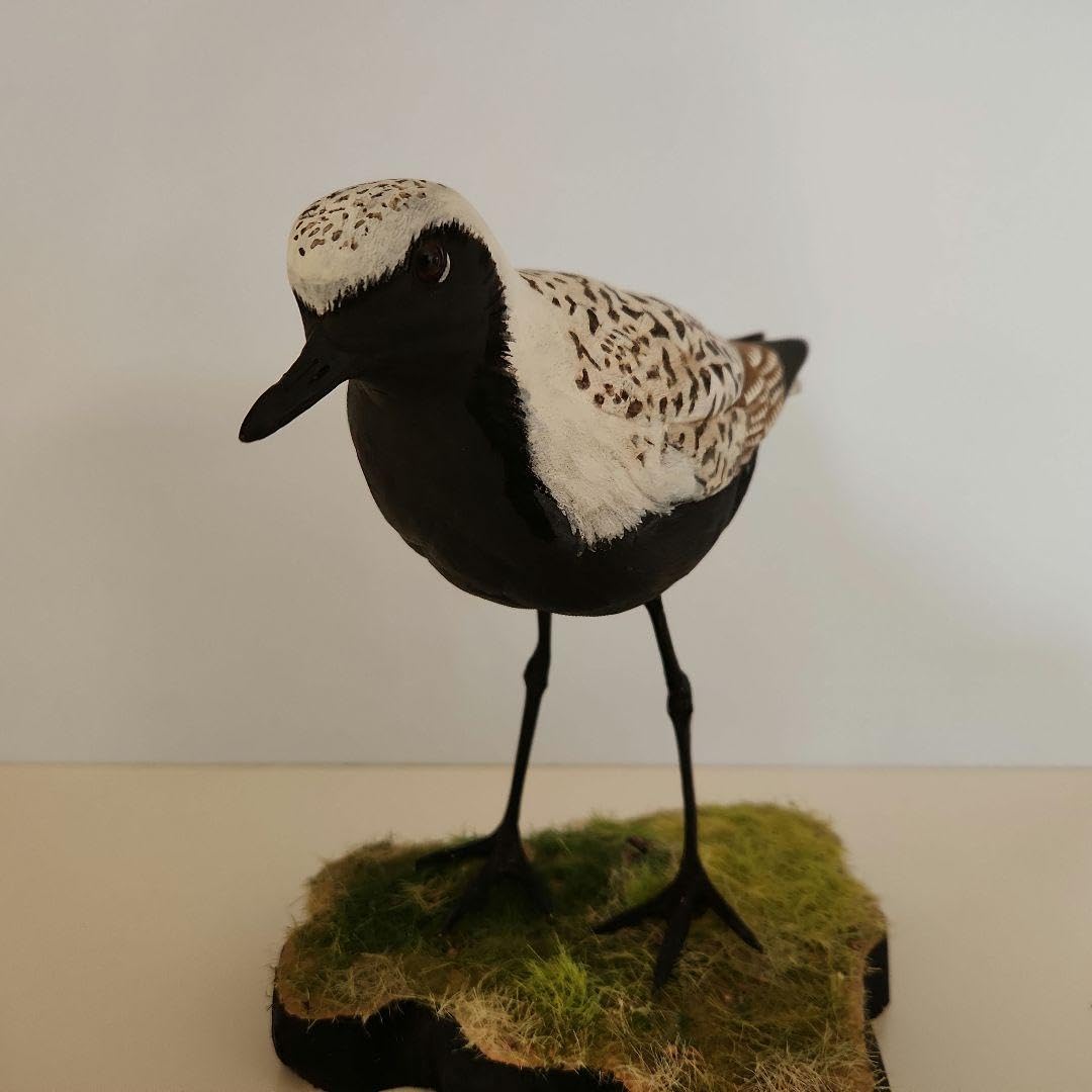 大型のチドリ　「ダイゼン」　木彫りの野鳥　バードカービング　野鳥彫刻 Amazon.co.jp: 大型のチドリ 「ダイゼン」 木彫りの野鳥 バード